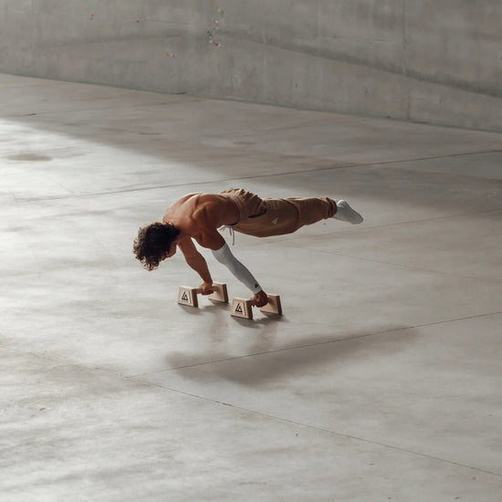 parallettes_calisthenics